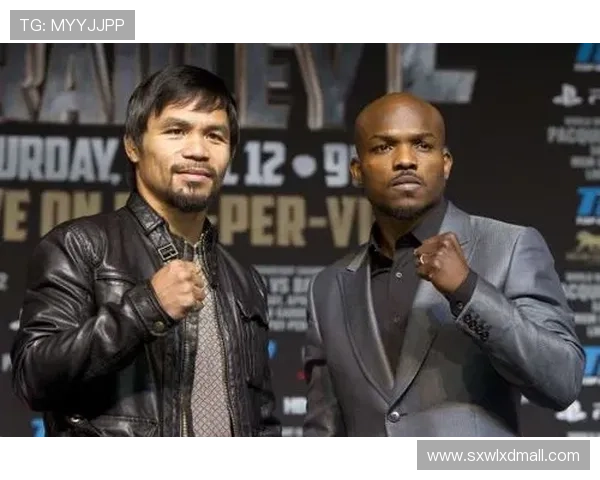 拳坛再掀巅峰对决新风暴世界冠军激战燃爆全场